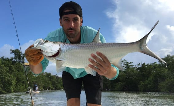 Tarpon fishing in San Juan, Puerto Rico