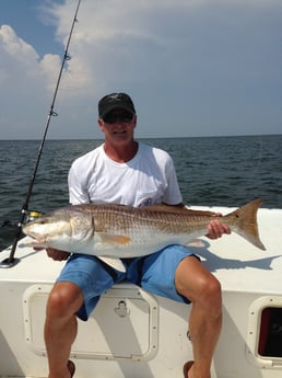 Redfish Fishing in Hatteras, North Carolina