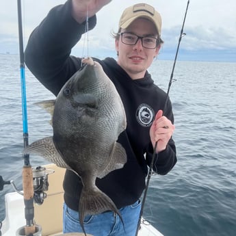 Triggerfish fishing in Panama City, Florida