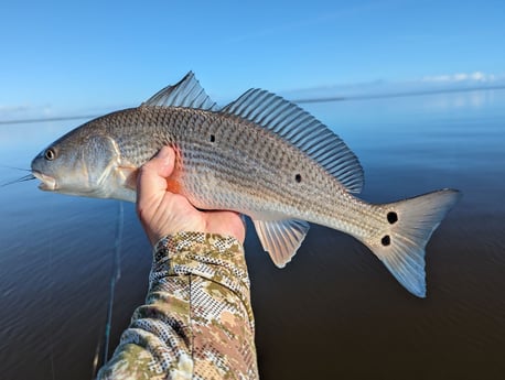 Fishing in Belhaven, North Carolina