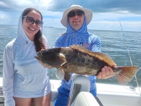 Fishing in Sarasota, Florida