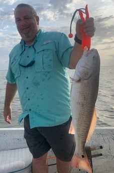 Redfish fishing in Galveston, Texas