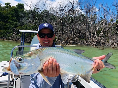 Tarpon fishing in Tavernier, Florida