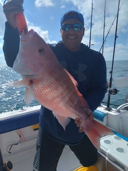 Red Snapper fishing in Clearwater, Florida