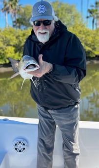 Redfish Fishing in Tampa, Florida