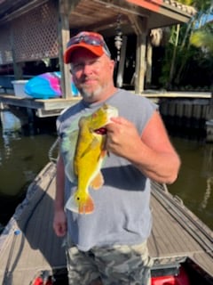 Peacock Bass fishing in Fort Lauderdale, Florida