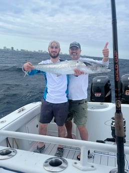King Eider Fishing in Jupiter, Florida