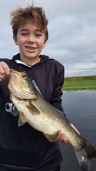 Largemouth Bass Fishing in Fort Lauderdale, Florida