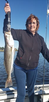 Speckled Trout / Spotted Seatrout fishing in Jacksonville, Florida