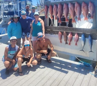 Little Tunny / False Albacore, Red Snapper fishing in Destin, Florida