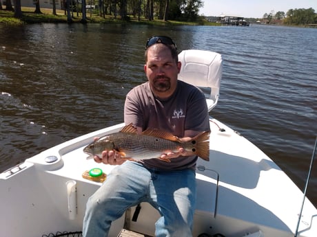 Redfish fishing in Santa Rosa Beach, Florida