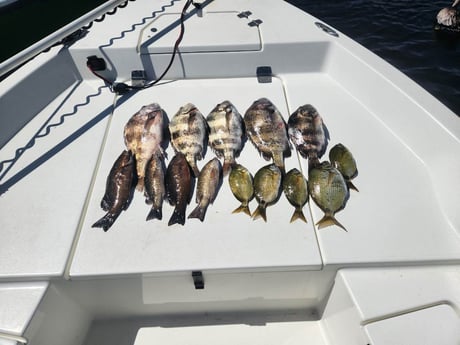 Fishing in Pensacola, Florida