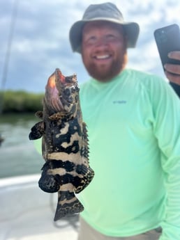 Goliath Grouper Fishing in Port Orange, Florida