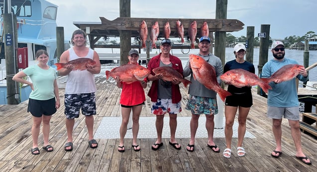 Red Snapper Fishing in Orange Beach, Alabama