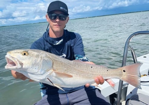 Redfish fishing in Tavernier, Florida