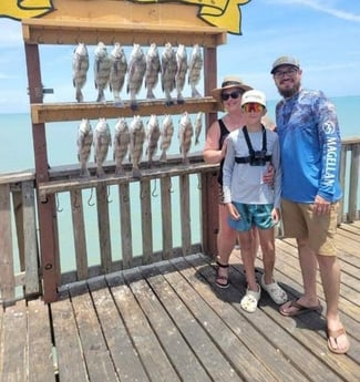 Black Drum Fishing in South Padre Island, Texas