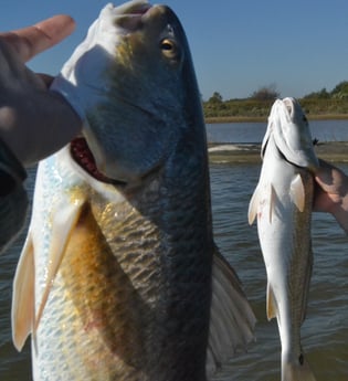 Redfish fishing in Galveston, Texas