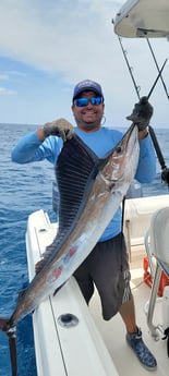 Little Tunny / False Albacore fishing in Hillsboro Beach, Florida