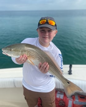 Redfish fishing in Sarasota, Florida