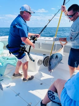 Amberjack fishing in Orange Beach, Alabama