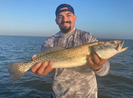 Speckled Trout Fishing in Corpus Christi, Texas