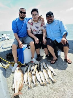 Redfish, Speckled Trout / Spotted Seatrout fishing in Galveston, Texas