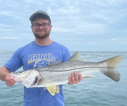 Snook fishing in New Smyrna Beach, Florida