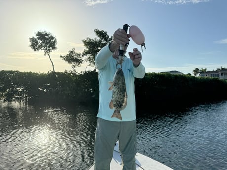 Fishing in Sarasota, Florida