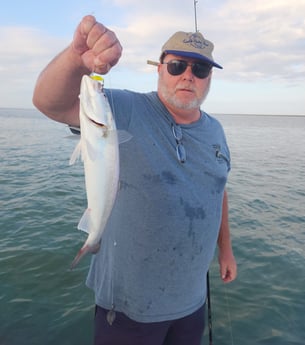 Speckled Trout / Spotted Seatrout Fishing in South Padre Island, Texas