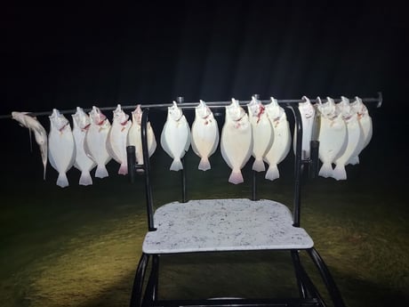 Flounder Fishing in Rio Hondo, Texas