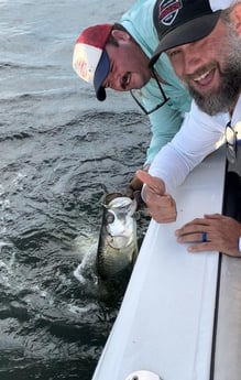 Tarpon Fishing in Tampa, Florida