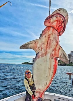 Fishing in Pompano Beach, Florida