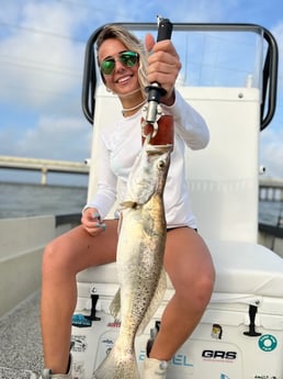 Sheepshead fishing in Galveston, Texas