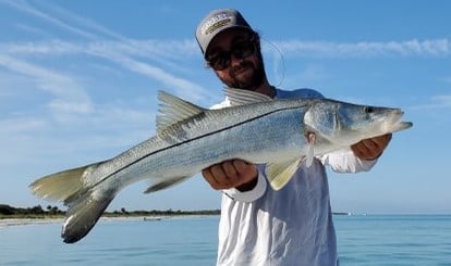 Snook fishing in Clearwater, Florida