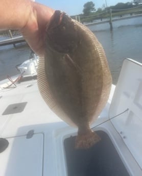 Flounder Fishing in Gulf Shores, Alabama