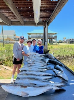 Speckled Trout / Spotted Seatrout fishing in Galveston, Texas