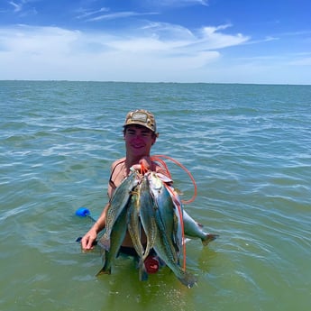 Speckled Trout / Spotted Seatrout fishing in Corpus Christi, Texas