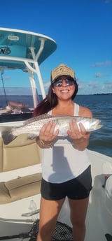 Fishing in Dickinson, Texas