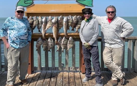 Redfish fishing in South Padre Island, Texas