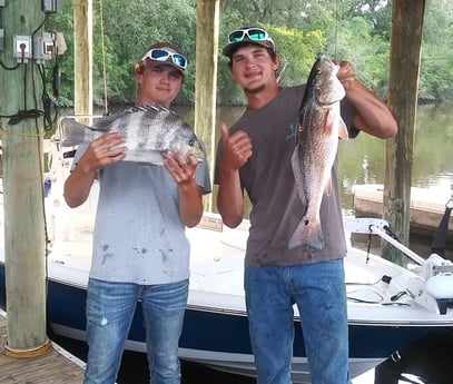 Redfish, Sheepshead fishing in Saint Bernard, Louisiana