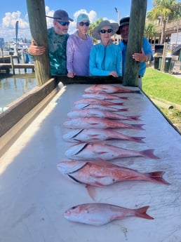 Fishing in Pensacola Beach, Florida