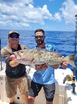 Gag Grouper fishing in Clearwater, Florida