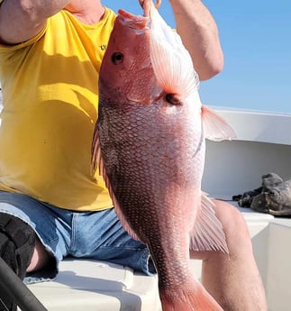 Red Snapper fishing in Panama City, Florida