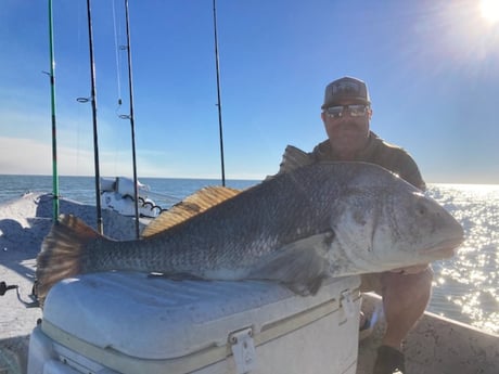 Black Drum Fishing in Rockport, Texas