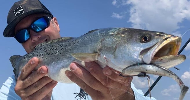 Speckled Trout / Spotted Seatrout fishing in Beaufort, North Carolina