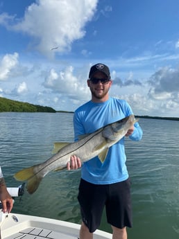 Snook fishing in Clearwater, Florida