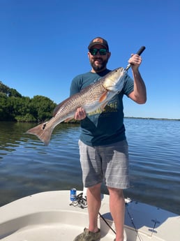 Redfish fishing in St. Petersburg, Florida