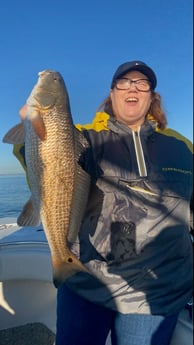 Sheepshead fishing in Galveston, Texas