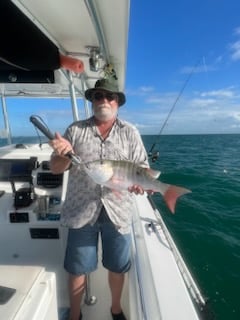 Fishing in Tavernier, Florida