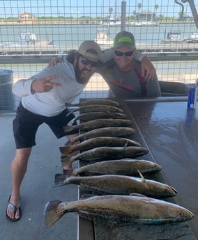 Speckled Trout / Spotted Seatrout fishing in Matagorda, Texas